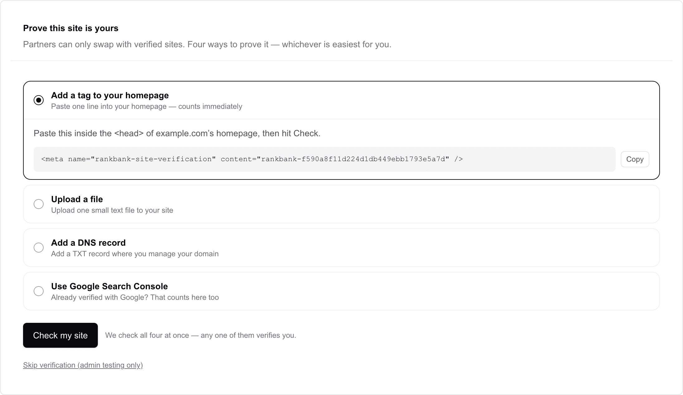The verification panel showing the four methods and the Check my site button